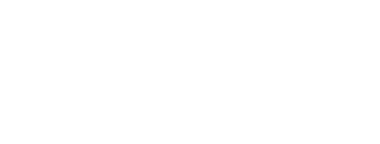 BISON INVESTMENTS Logo